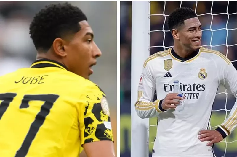 الأخوين بيلينجهام